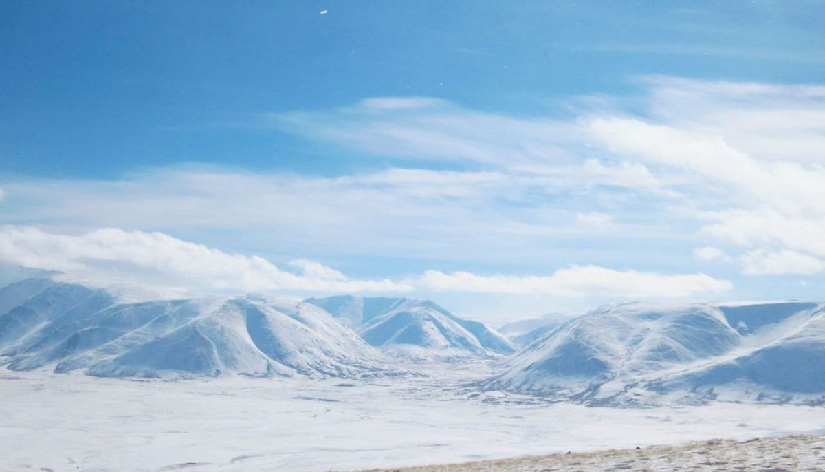 Монголия временно закроет пункт пропуска рядом с Республикой Алтай - Толк