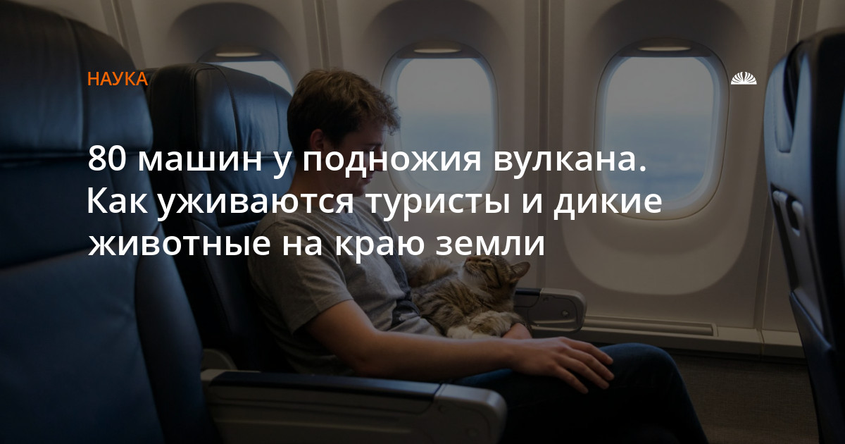 80 машин у подножия вулкана. Как уживаются туристы и дикие животные на краю земли