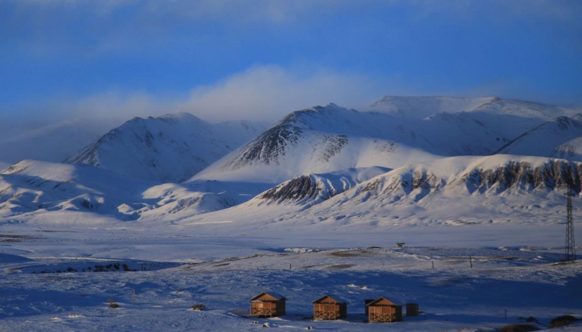 Как выглядела зима 2026 года в Сайлюгемском национальном парке - Толк