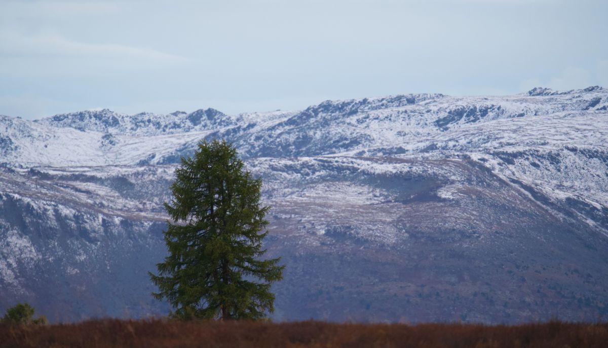 Пропавшего без вести мужчину уже год ищут в Республике Алтай - Толк 05.03.2026