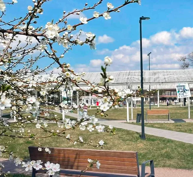 Кабардино-Балкария вошла в топ-10 регионов по спросу на путешествия весной